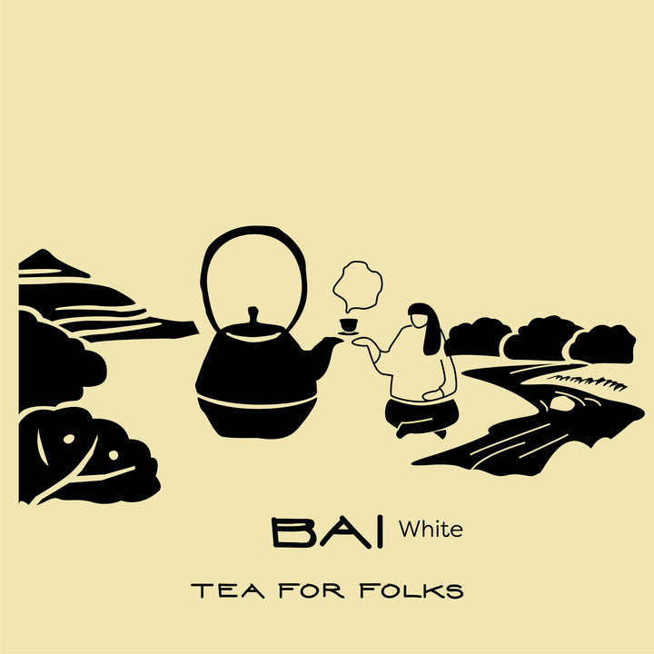 White Tea Collection